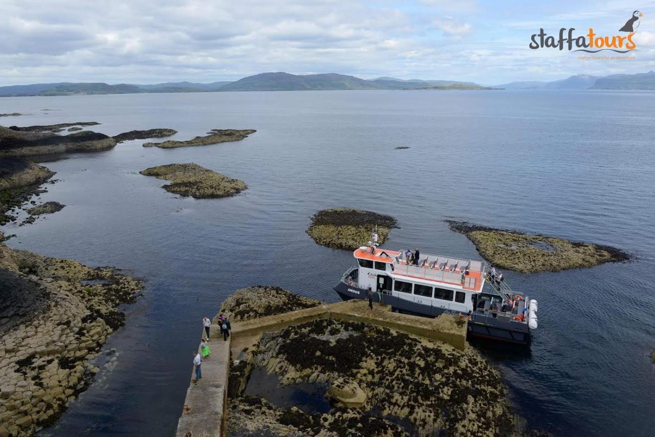 Staffa & Fingals Cave Wildlife Tour