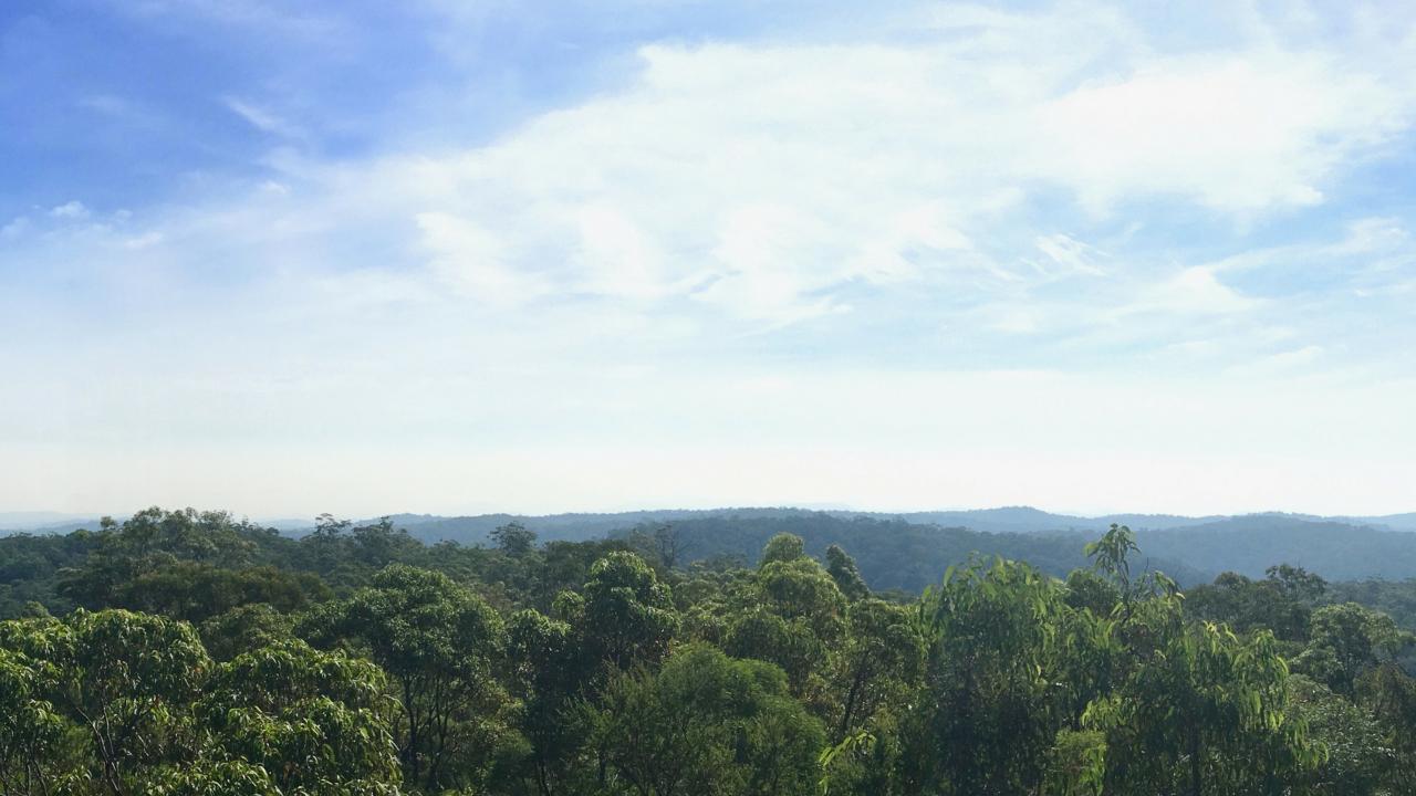 Yengo National Park Full-Day Guided Walk