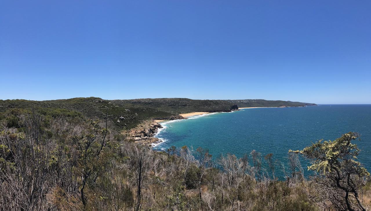 Bouddi National Park Guided Walk