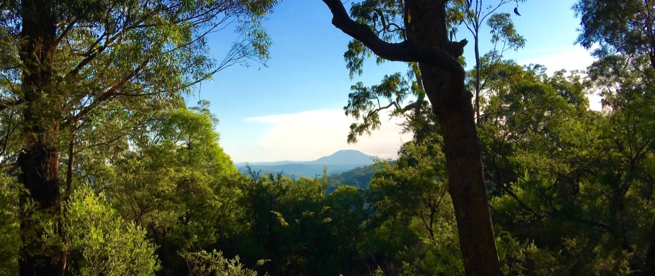Yengo National Park Half-Day Guided Walk