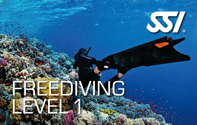 Freediving Level 1 Course - Great Barrier Reef Experience