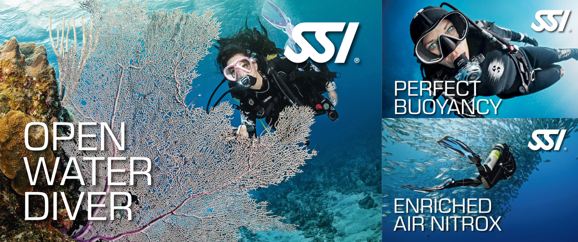 Open Water Course - Comprehensive