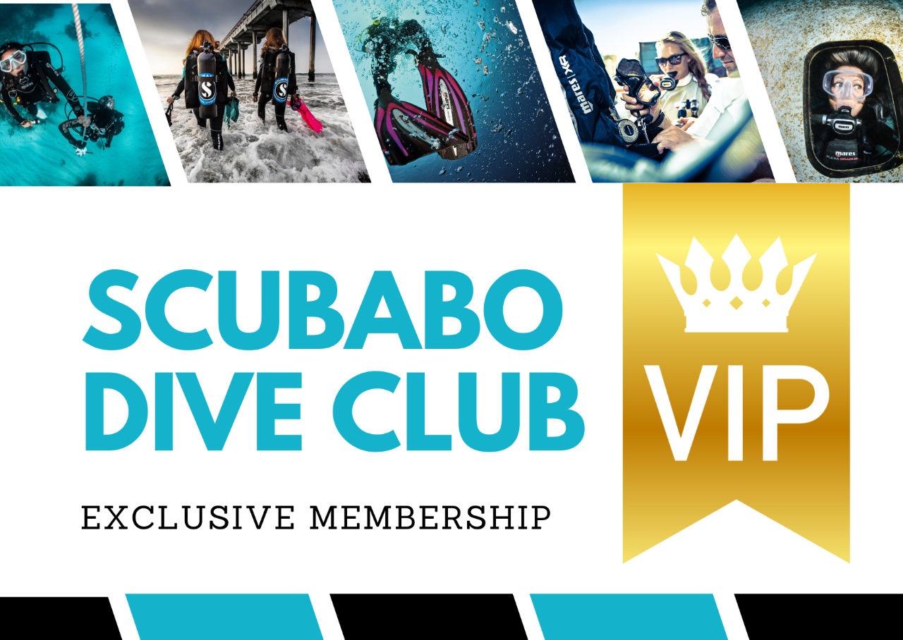 Scubabo Dive Club Annual Membership