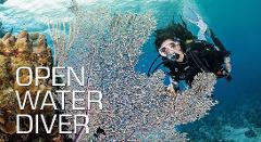 Open Water Course - Comprehensive