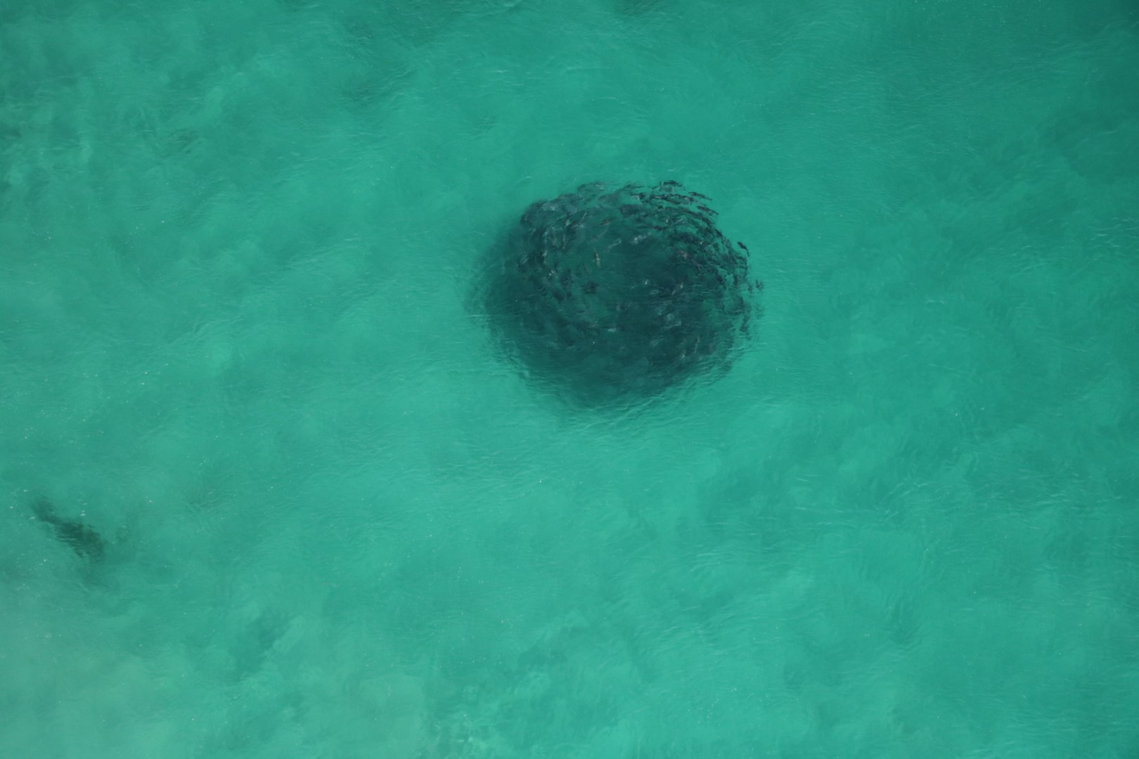 Margaret River Pick a Lighthouse (60 minute) Scenic Flight