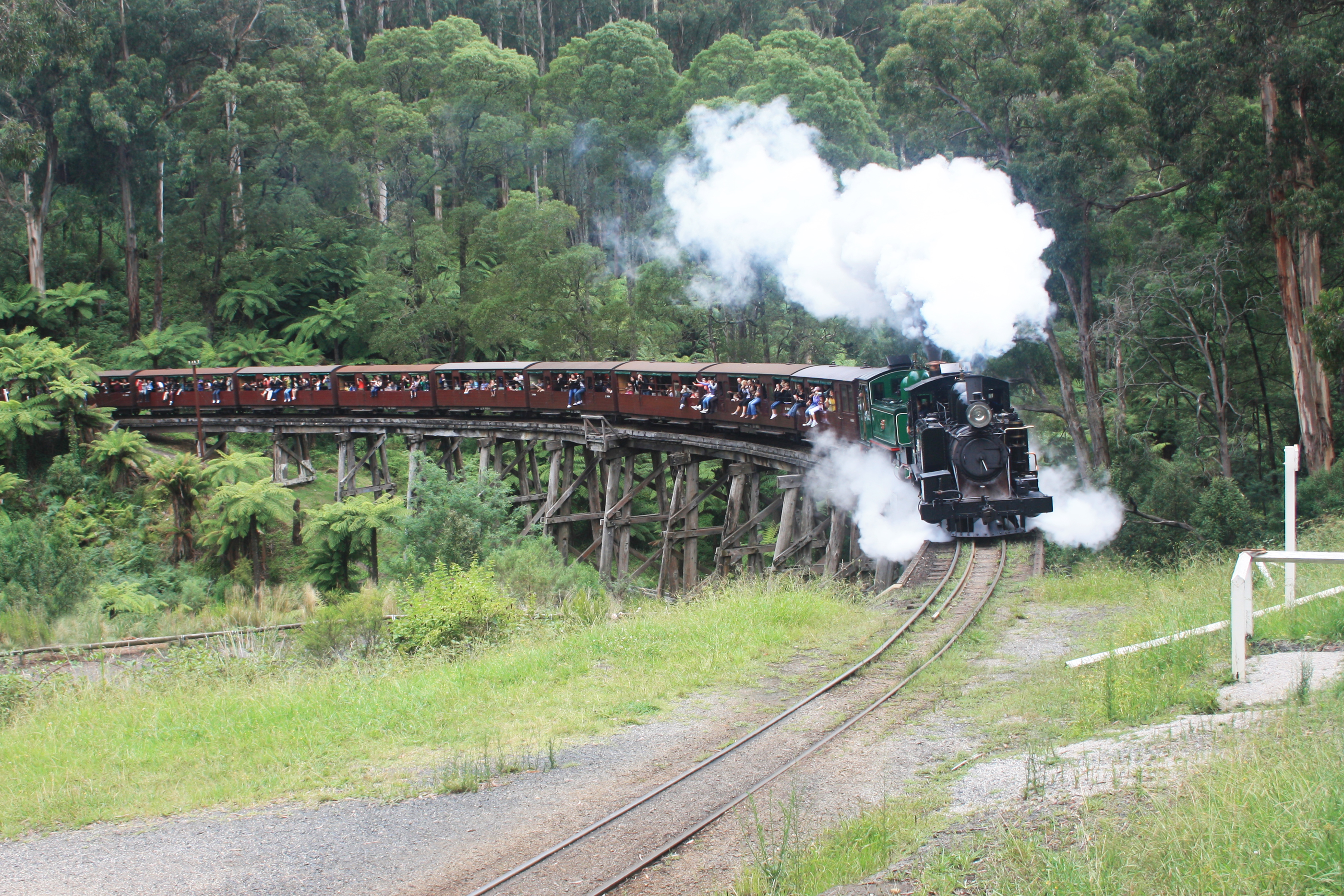 Puffing Billy (Dandenong Ranges & Brighton Bathing Boxes ) Experience