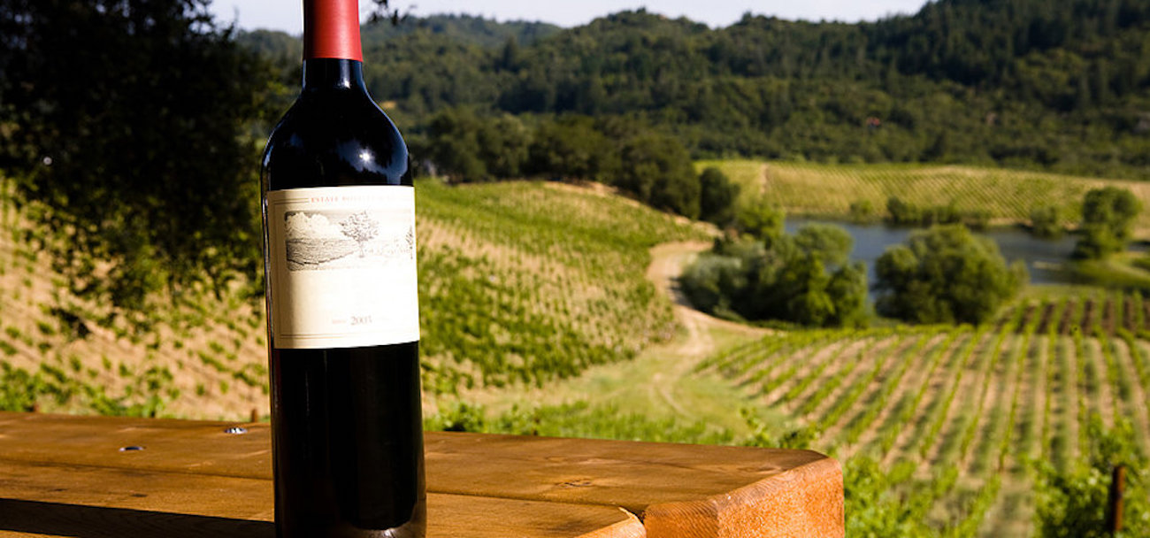 Yarra Valley Unique Experience