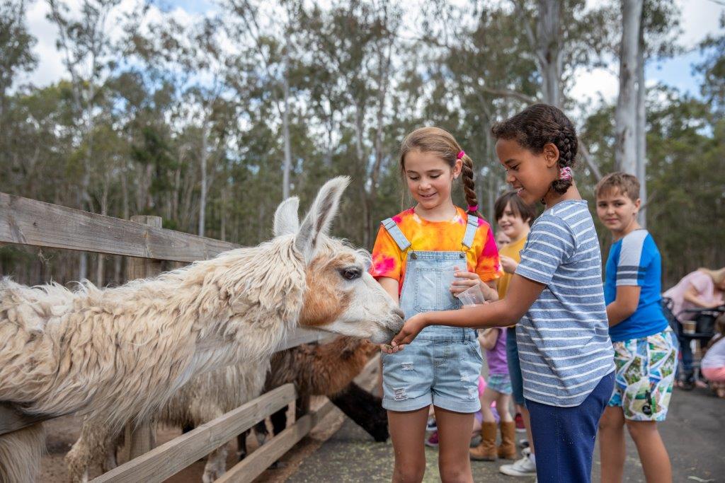 Annual Farm Pass 