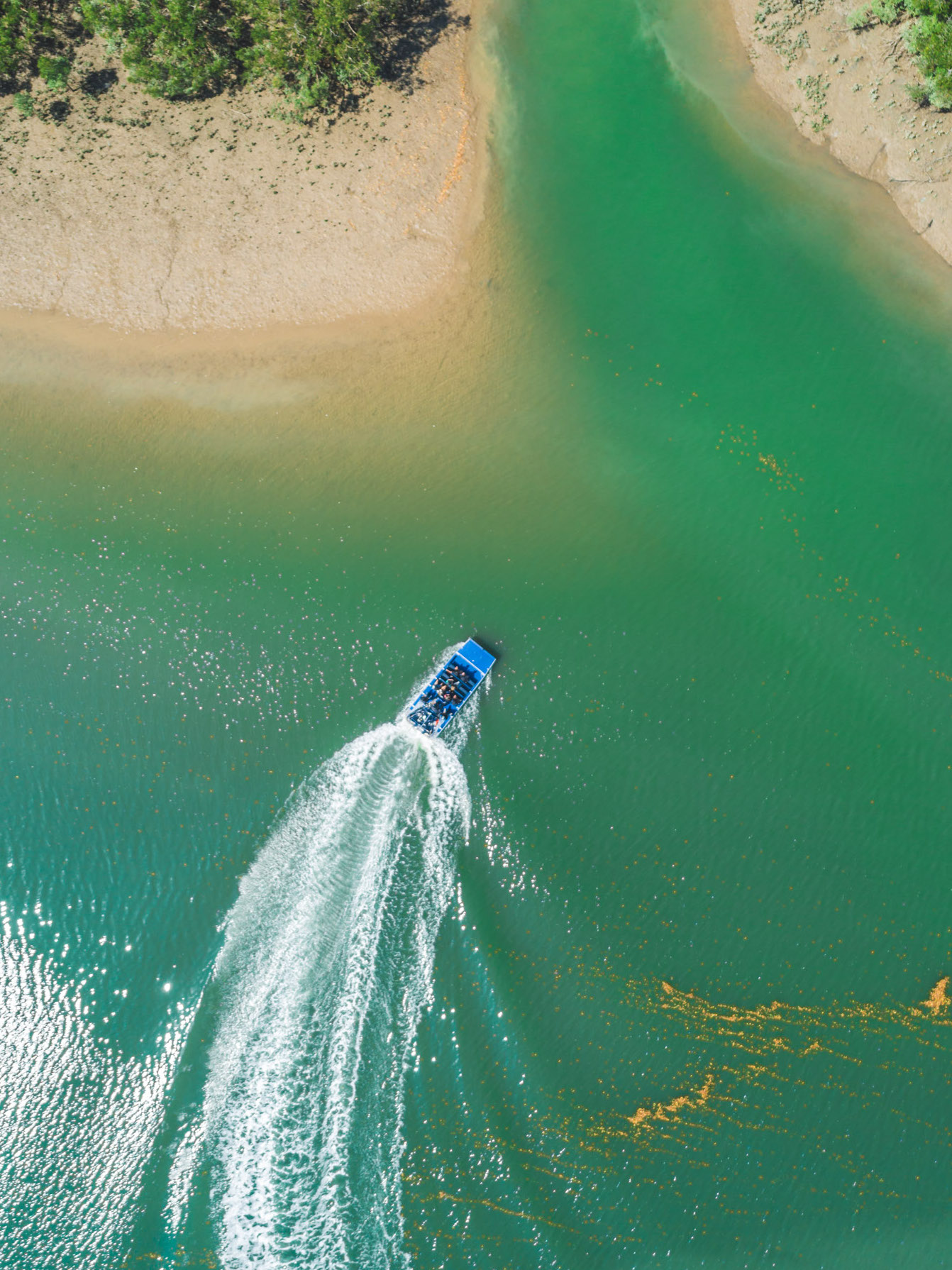 Darwin Airboat Tours