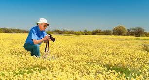 5 Day Midwest Wildflowers & Kalbarri Tour.  Bassendean, Booragoon, Perth, Whitfords