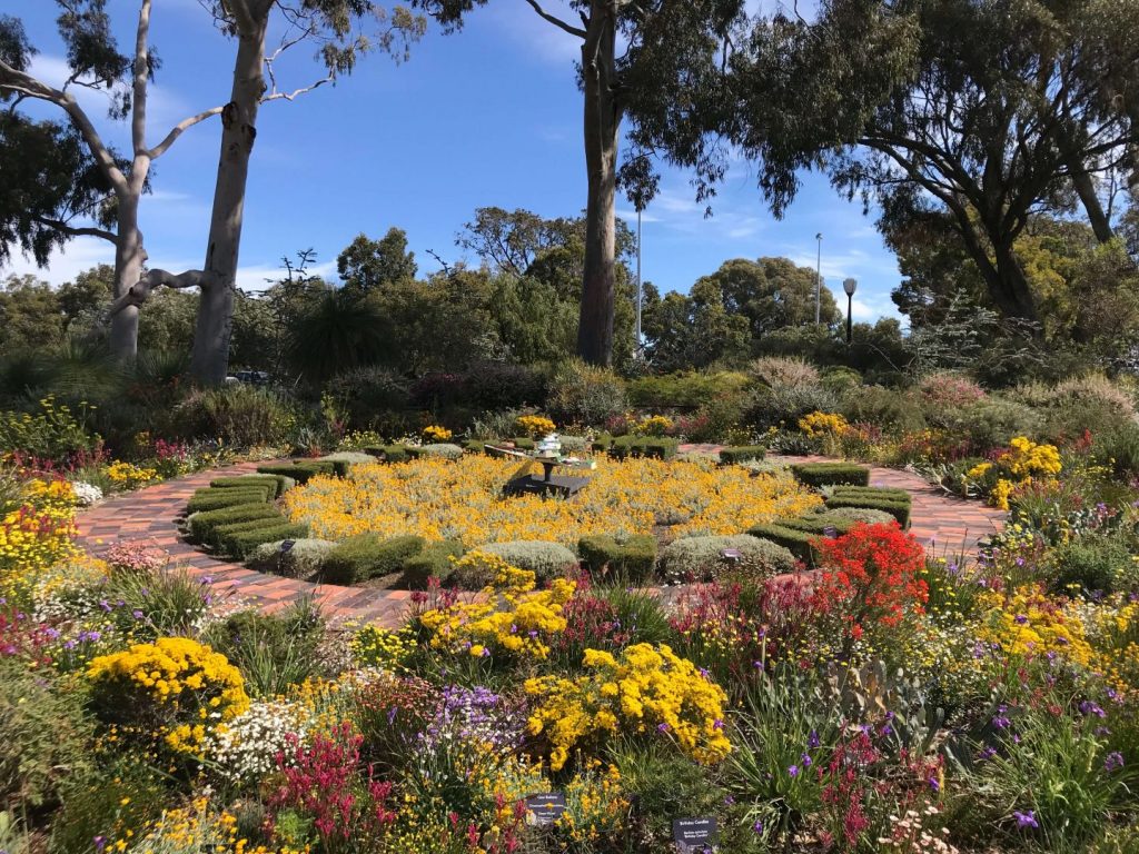 Kings Park Festival and Wireless Hill Wildflowers - 8.15am Whitfords, 8.45am Innaloo, 9.00am Perth