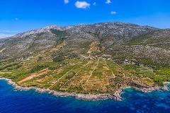 Follow The Footsteps of Peljesac Wine Trail Day Trip from Dubrovnik