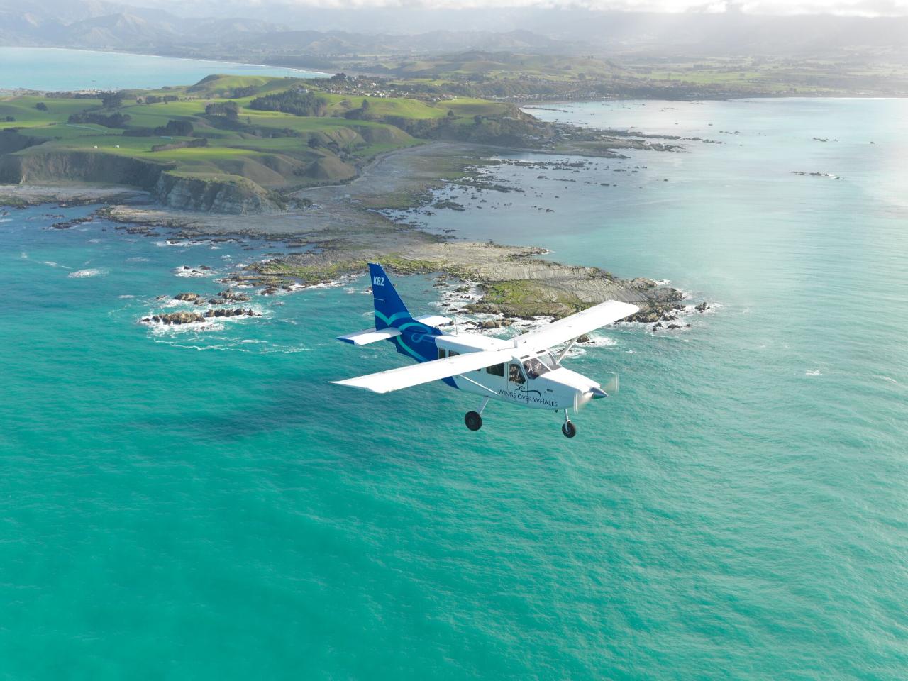 Kaikoura Discovery Scenic Tour