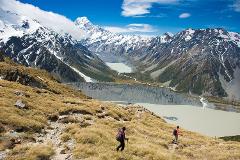 Christchurch to Tekapo via Mt Cook (1 way) (Small Group, Carbon Neutral)