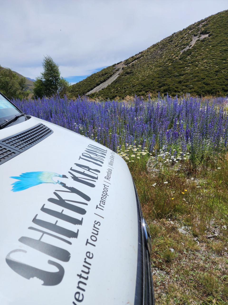 Hokitika to Greymouth (1 way) (Small Group, Carbon Neutral)