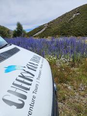 Hokitika to Greymouth (1 way) (Small Group, Carbon Neutral)