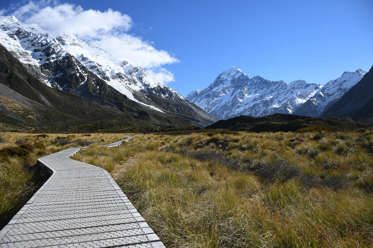 Mt Cook, Day Tour From Christchurch Via Lake Tekapo (Small Group, Carbon Neutral)