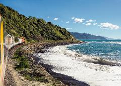 Ultimate Kaikōura day Tour from Christchurch with Coastal Pacific and Whale Watch | Boat