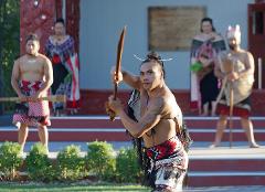 Auckland to Rotorua 1 way via Hobbiton and Te Puia (Small Group) 