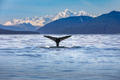 Kaikoura Day Tour From Christchurch (Small Group & Carbon Neutral)
