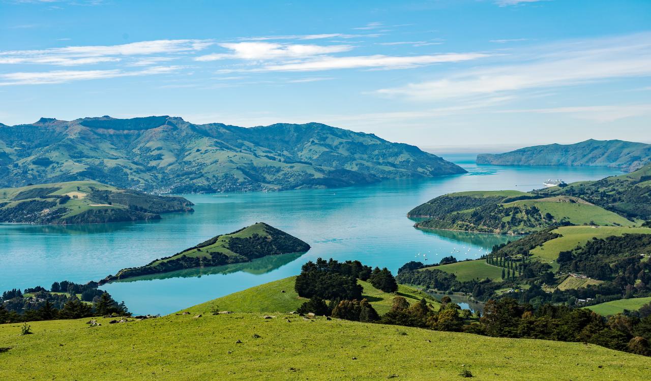 Akaroa Day Trip from Christchurch With Award Winning Giants House (Small Group & Carbon Neutral)