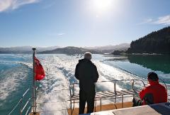 Akaroa Day Trip from Christchurch with Nature Cruise (Small Group & Carbon Neutral)