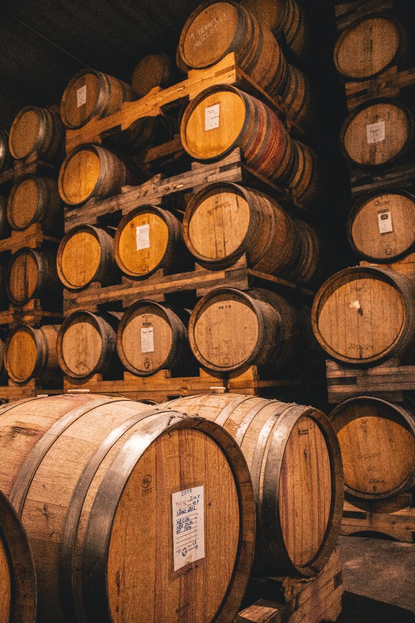 Cheeky Kea Tours: Waipara Wine Tour from Christchurch (Small Group, Carbon Neutral) — Waipara Valley - Photo 3
