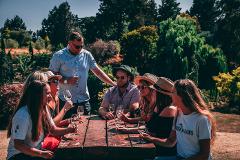 Waipara Wine Tour (Small Group & Carbon Neutral)
