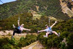 Kaikōura Day Tour From Christchurch With EcoZip Zipline Adventure (Small Group, Carbon Neutral)