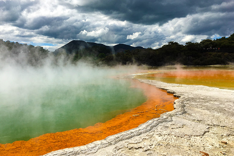 Rotorua Highlights including Wai-O-Tapu & Te Puia Small Group Tour from Auckland