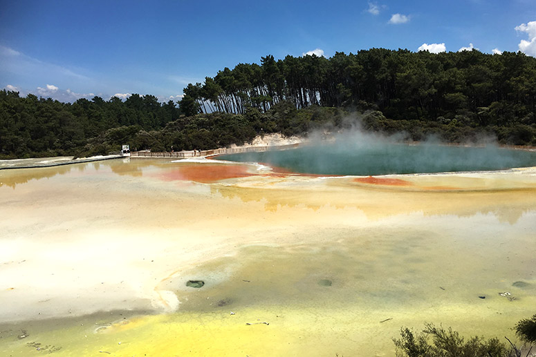 Rotorua Highlights Tour including Wai-O-Tapu & Redwoods Treewalk from Auckland