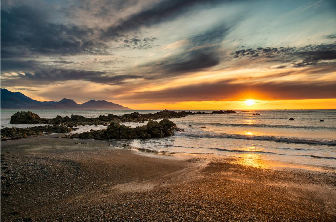 Christchurch to Kaikoura 1 way Transfer (Small Group & Carbon Neutral)