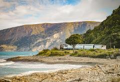 Kaikōura Day Tour From Christchurch with Coastal Pacific Train