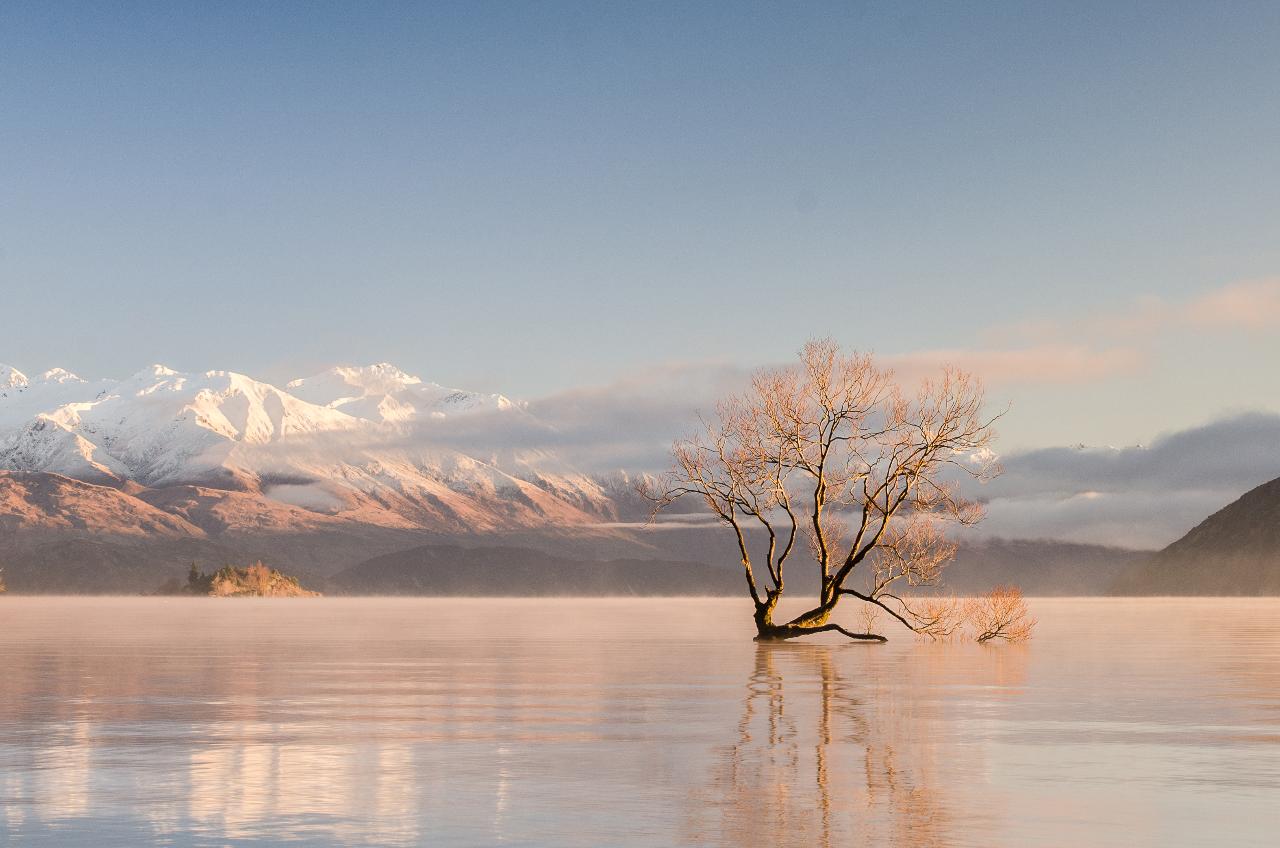Mt Cook Day Tour from Wānaka