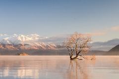 Mt Cook Day Tour from Wānaka
