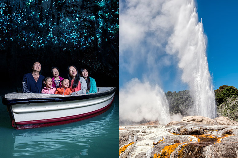 Waitomo Caves & Rotorua Small Group Tour including Te Puia from Auckland