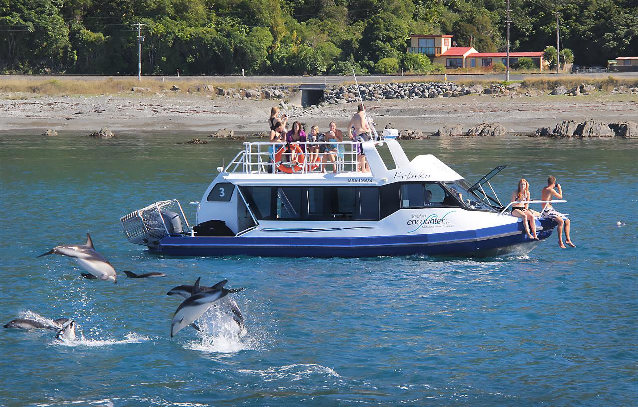 Kaikōura Day Tour From Christchurch With Dolphin Encounter  (Small Group, Carbon Neutral)