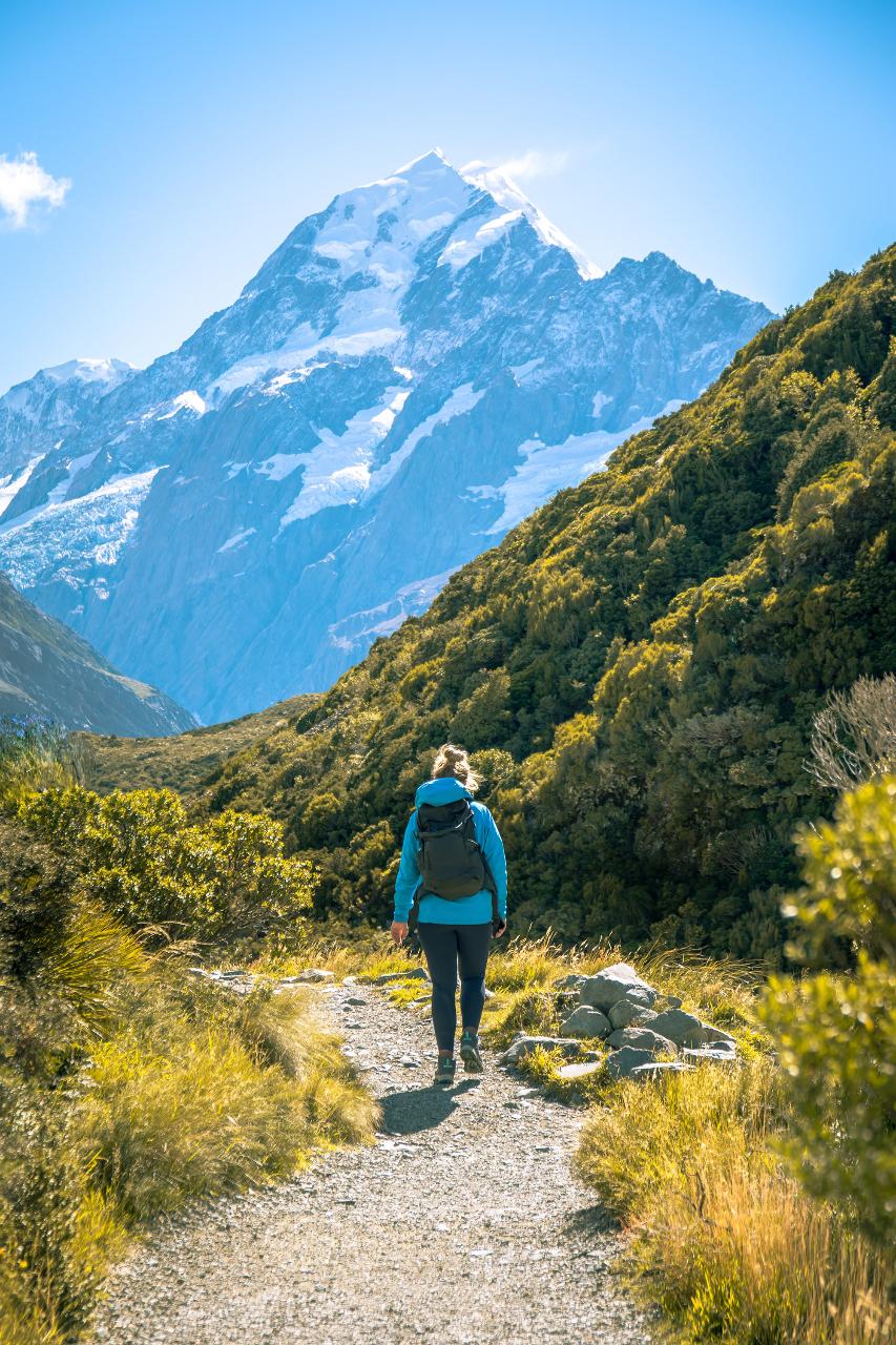Mt Cook Day Tour via Wānaka from Queenstown