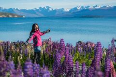 Lake Pukaki and Tekapo Day Tour From Christchurch