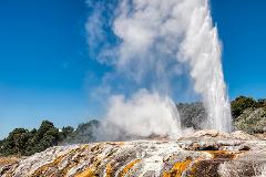 Rotorua Day Tour with Te Puia and Redwoods Tree Walk From Auckland (Small Group)