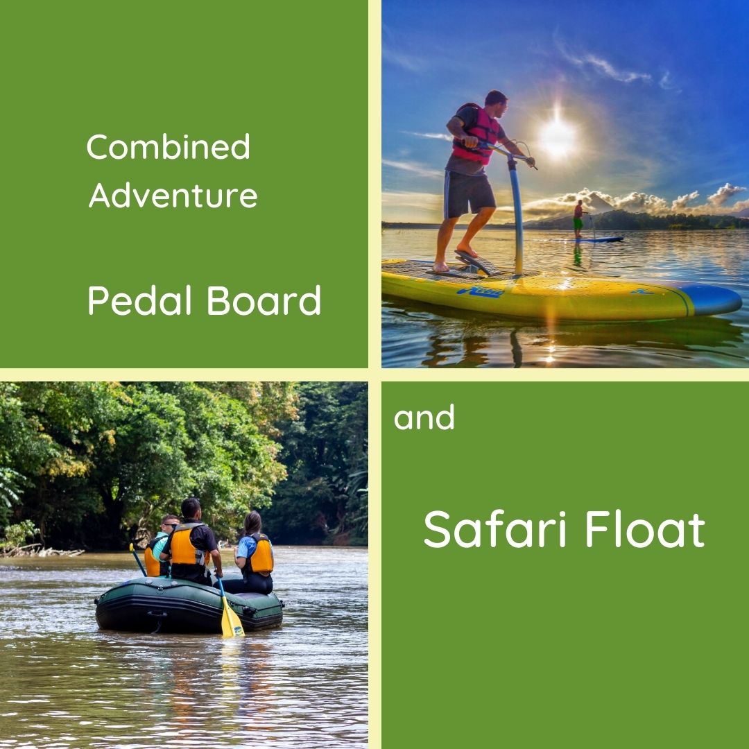 Pedal Board & Safari Float