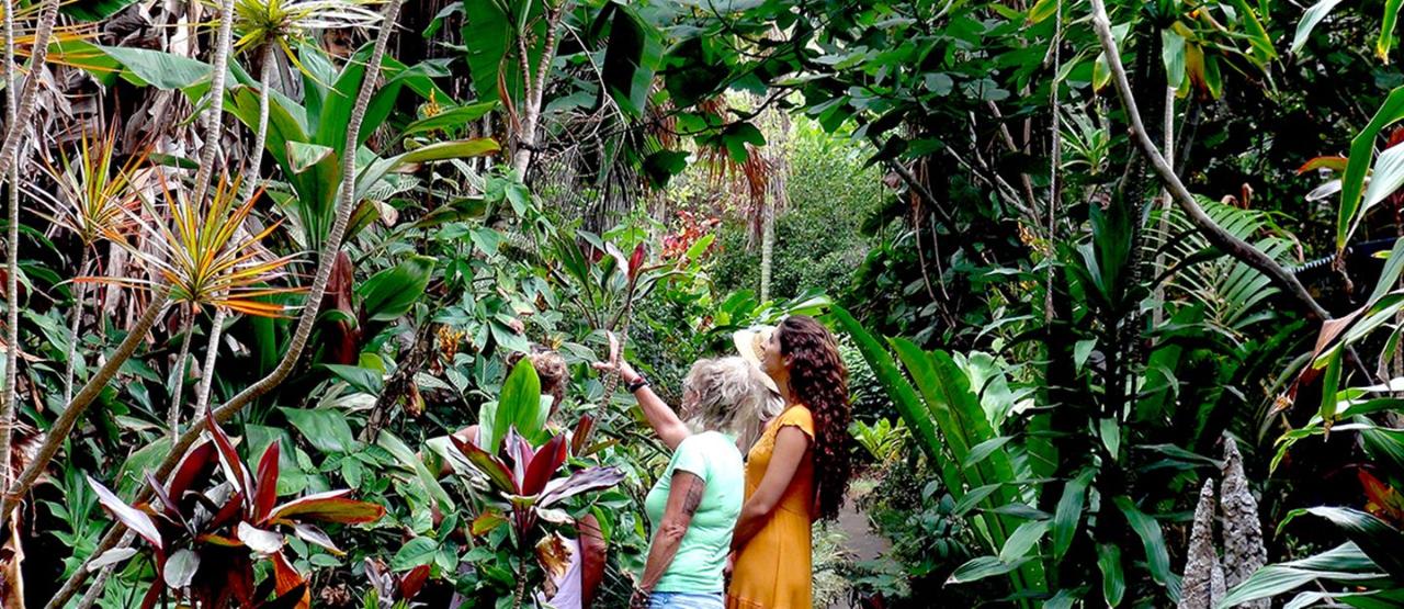 Visit to Music Valley and Bellett House Norfolk Island
