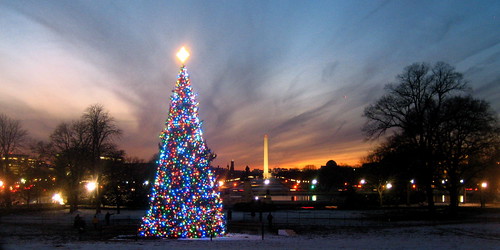 Exclusive Private Holiday Night Tour of Washington, DC 