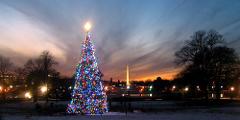 Exclusive Private Holiday SUV Night Tour of Washington DC - Up to 5 Guests