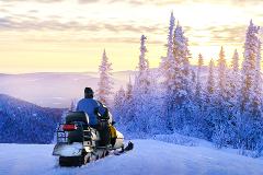 Snowmobile afternoon tour - Drive your own snowmobile! Let your guide show you Lapland in all its beauty