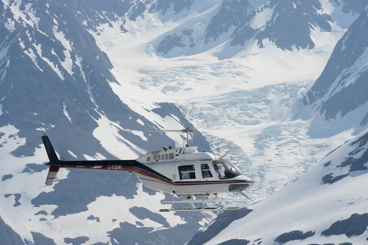 Eagle Glacier and Wildlife Tour from Anchorage