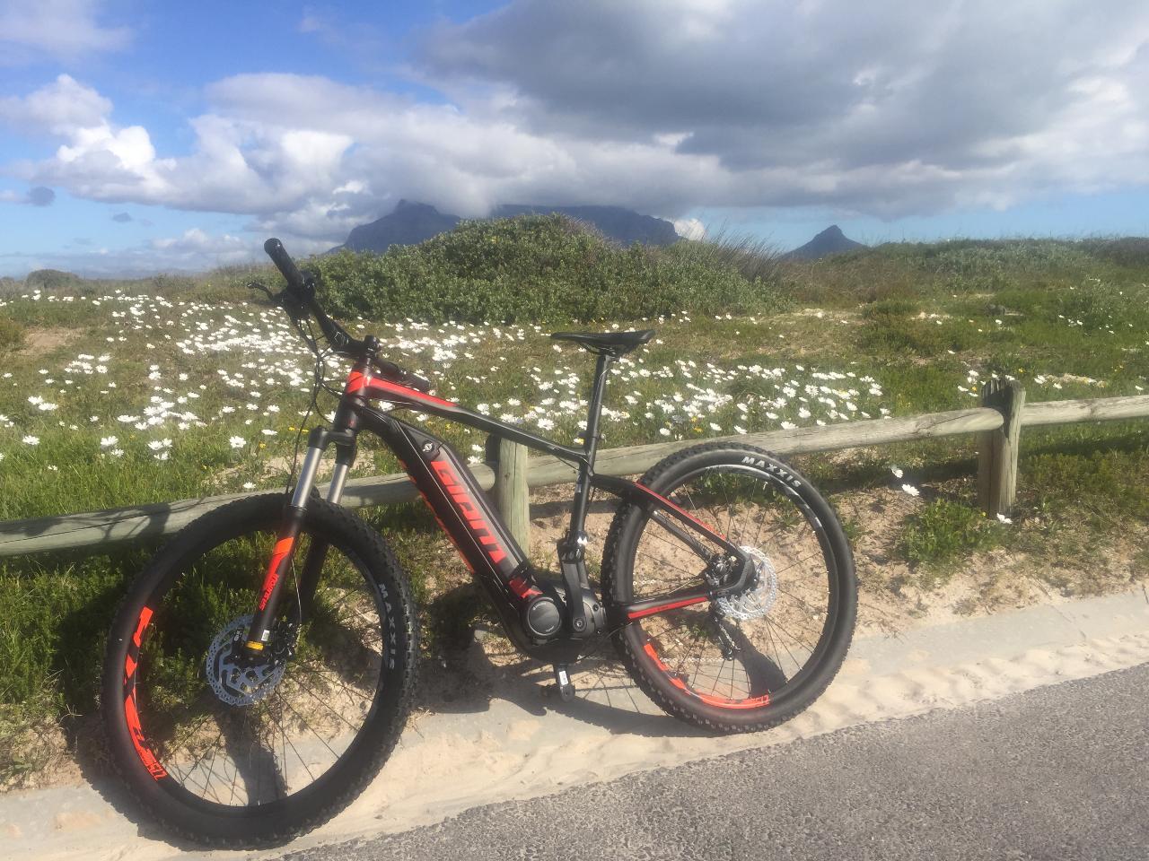 Table Bay Coastal Ebike Tour 