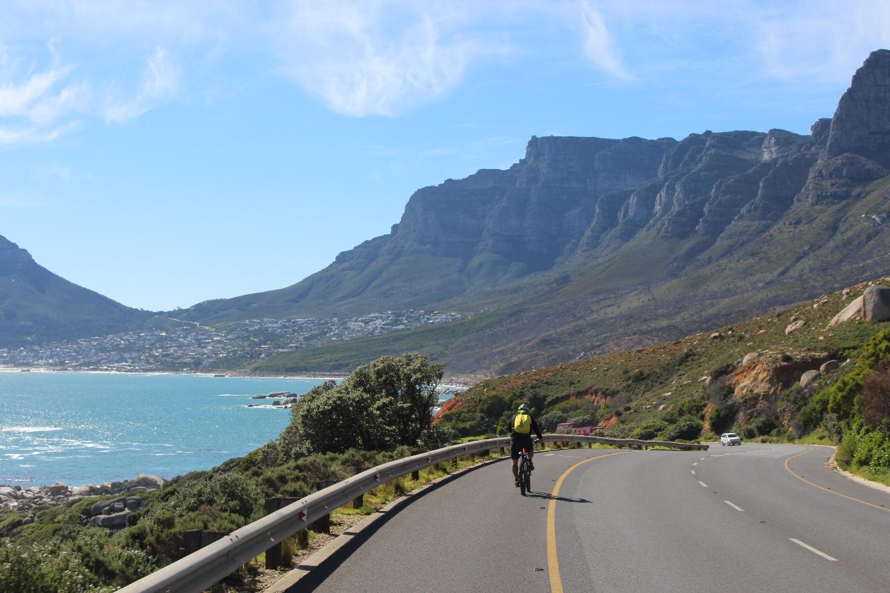 Hout Bay Ebike Tour and Seal Island Cruise