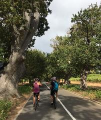 Constantia Valley and Winelands Ebike tour