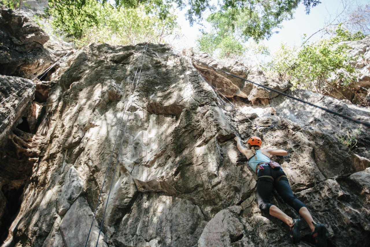 CMRCA Adventure Camp Day 5: Ultimate Climbing and Rappelling Adventure